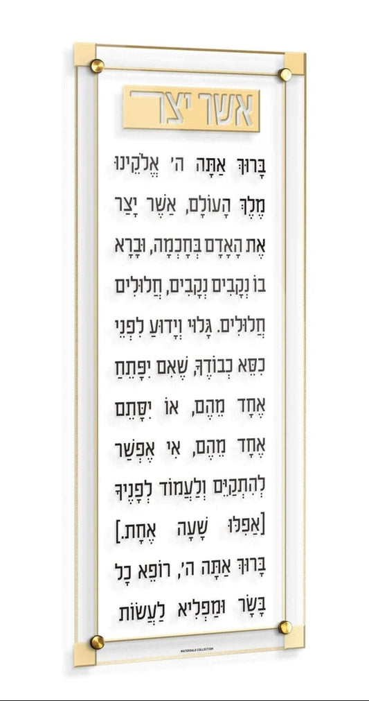 078 - Asher Yatzar - Gold and White - Acrylic