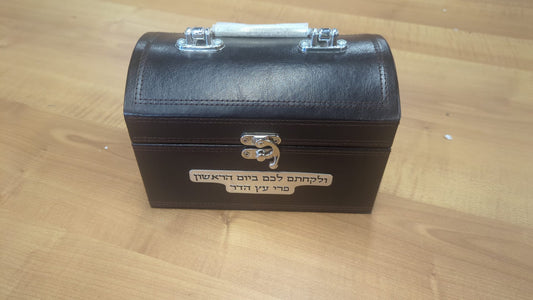 071 - Etrog Case - lock